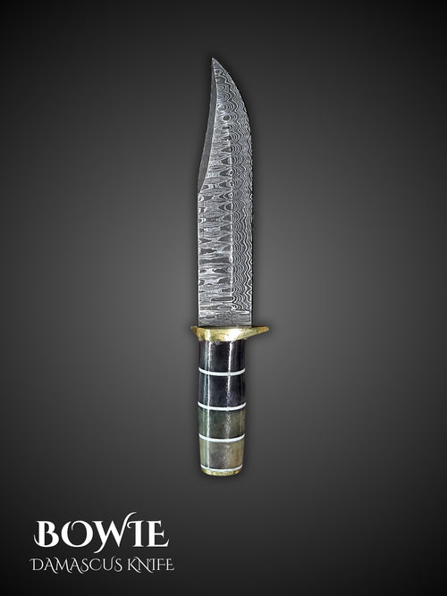 Damascus steel clip point Bowie Knife