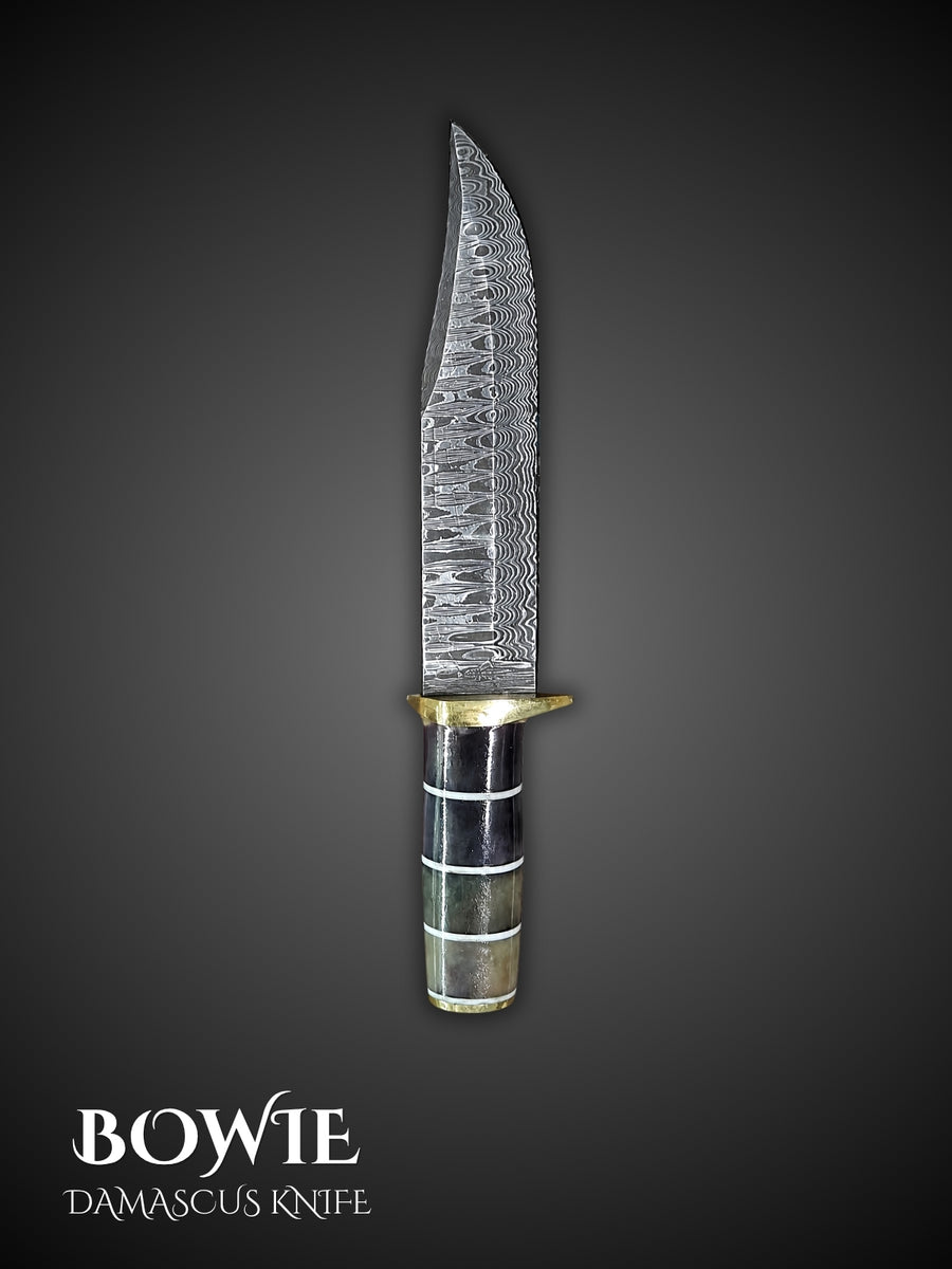 Damascus steel clip point Bowie Knife