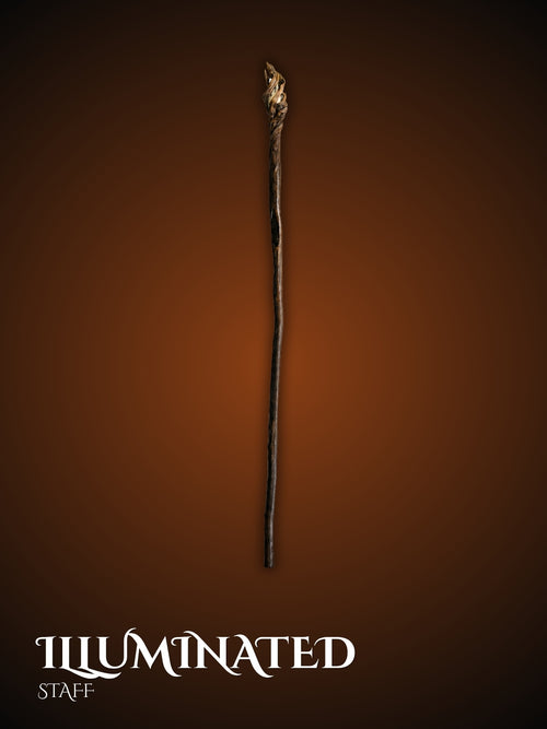 Illuminated Staff