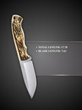 Stag Handle Hunting Knife