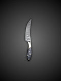 Handmade Damascus Chef Knife Set of (5Pcs)